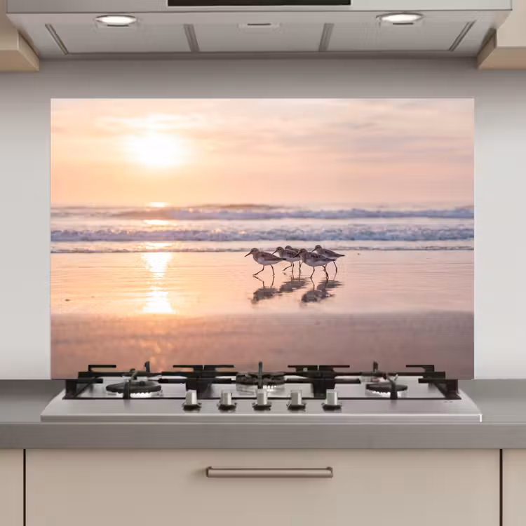 Spatscherm keuken - Zee - Vogels - Strand — 1