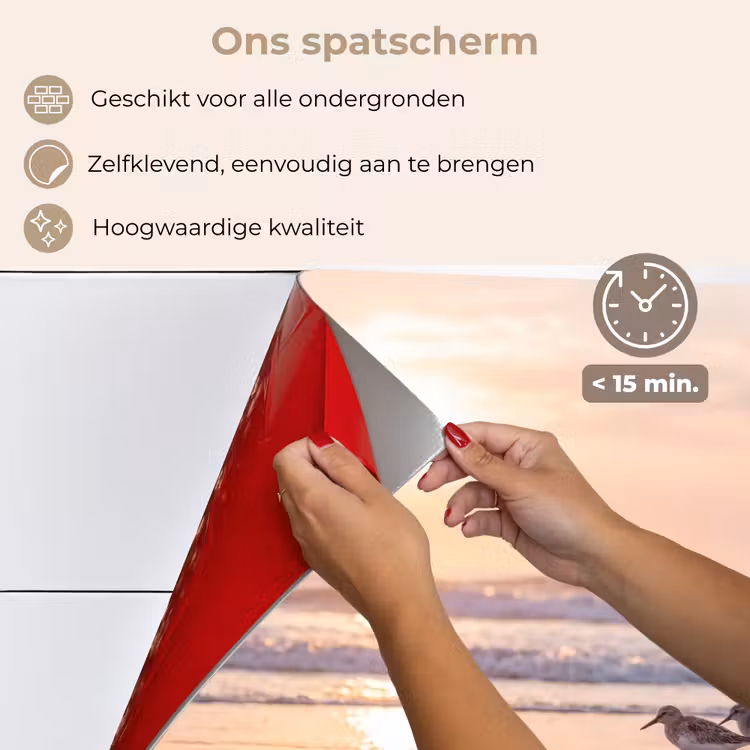 Spatscherm keuken - Zee - Vogels - Strand — 4