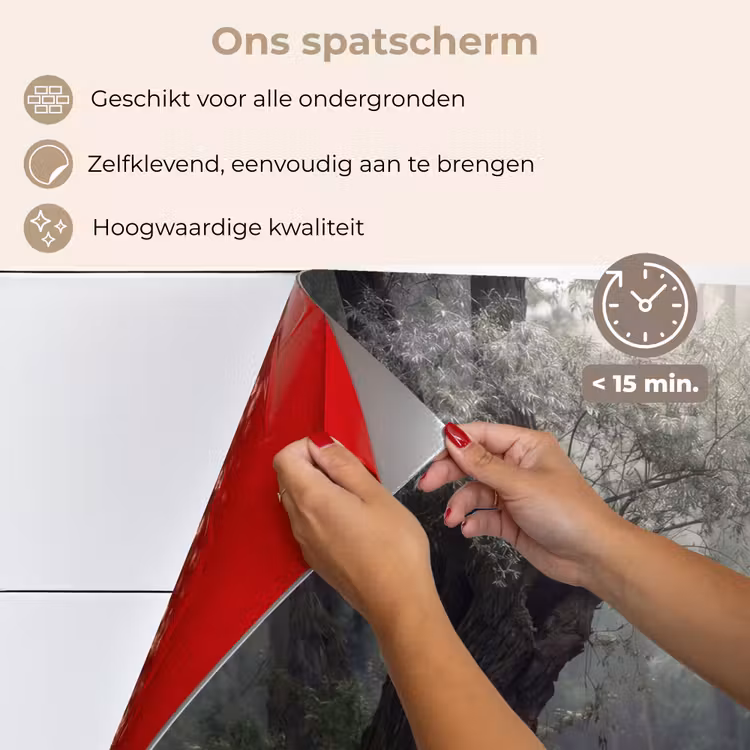 Spatscherm keuken - Zwanen - Rivier - Bos — 4