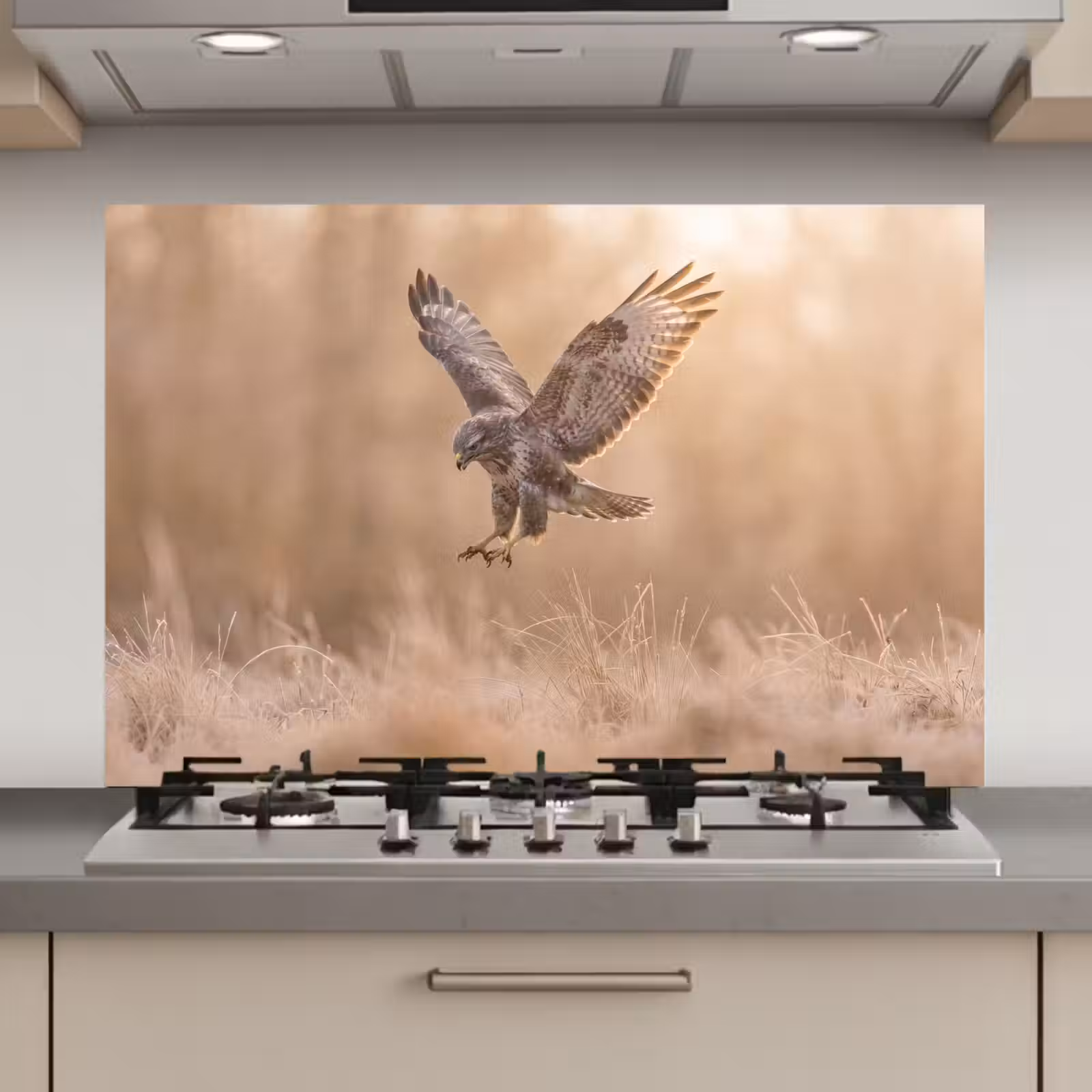 Spatscherm keuken - Buizerd - Roofvogel - Natuur - Bruin — 1