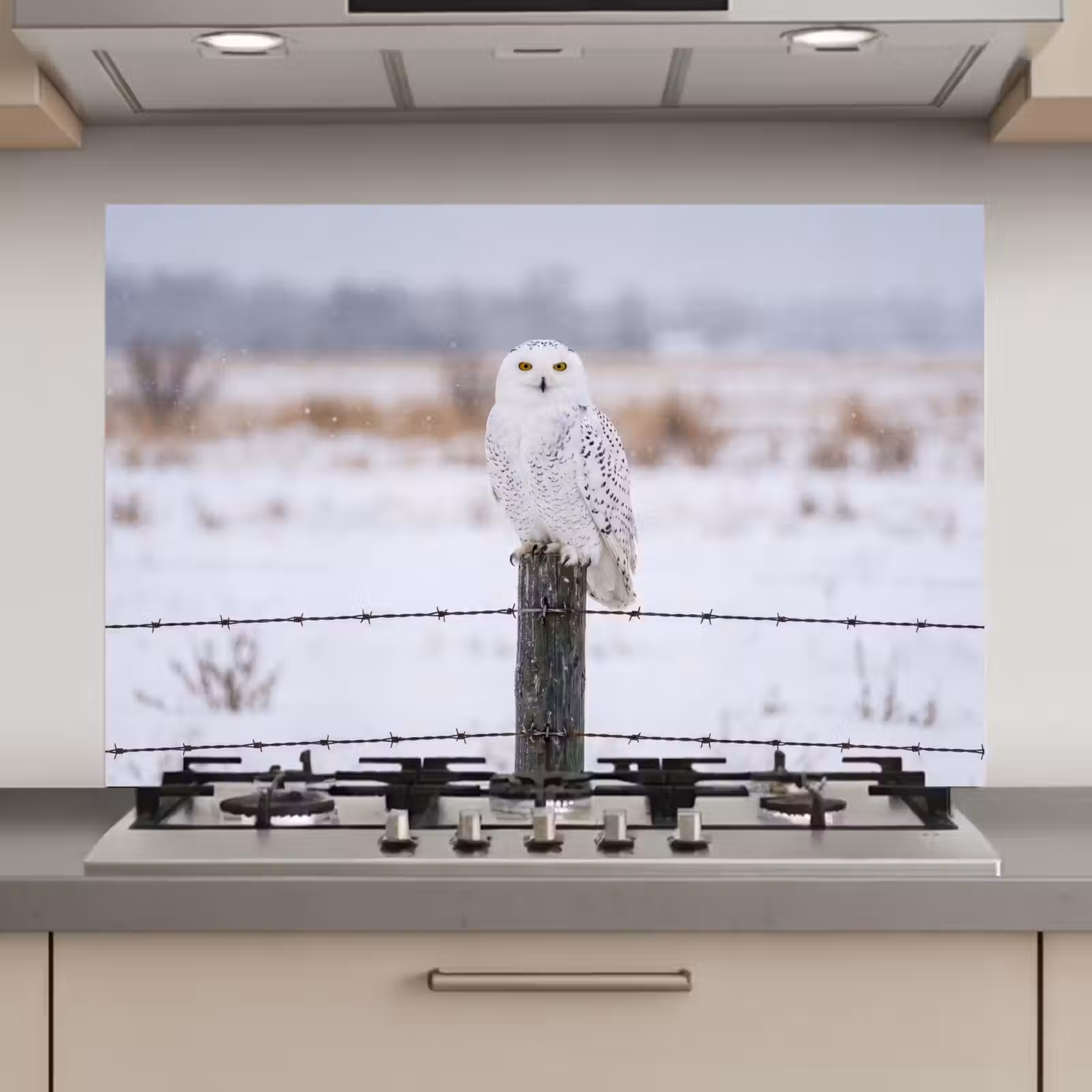 Spatscherm keuken - Sneeuwuil - Hek - Sneeuw - Wit — 1
