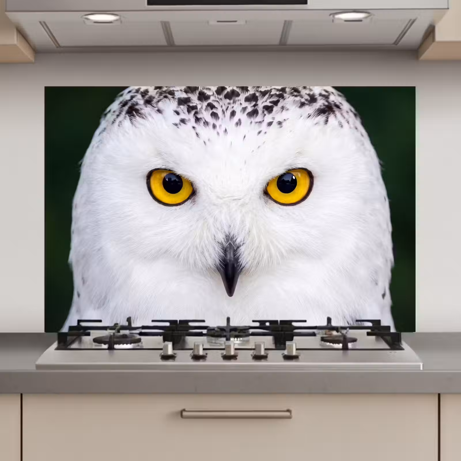 Spatscherm keuken - Sneeuwuil - Portret - Geel — 1