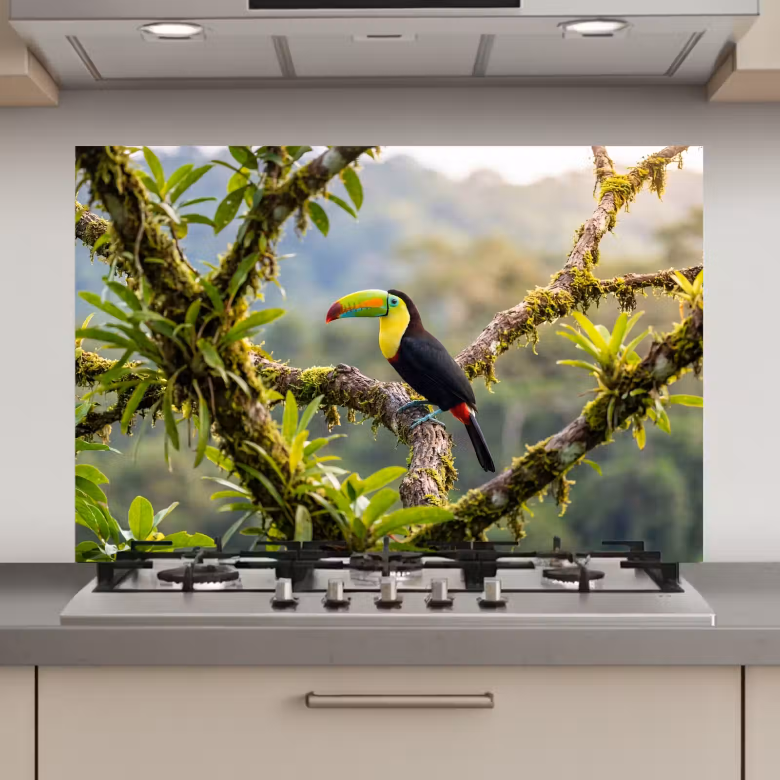 Spatscherm keuken - Toekan - Jungle - Natuur - Kleurrijk — 1