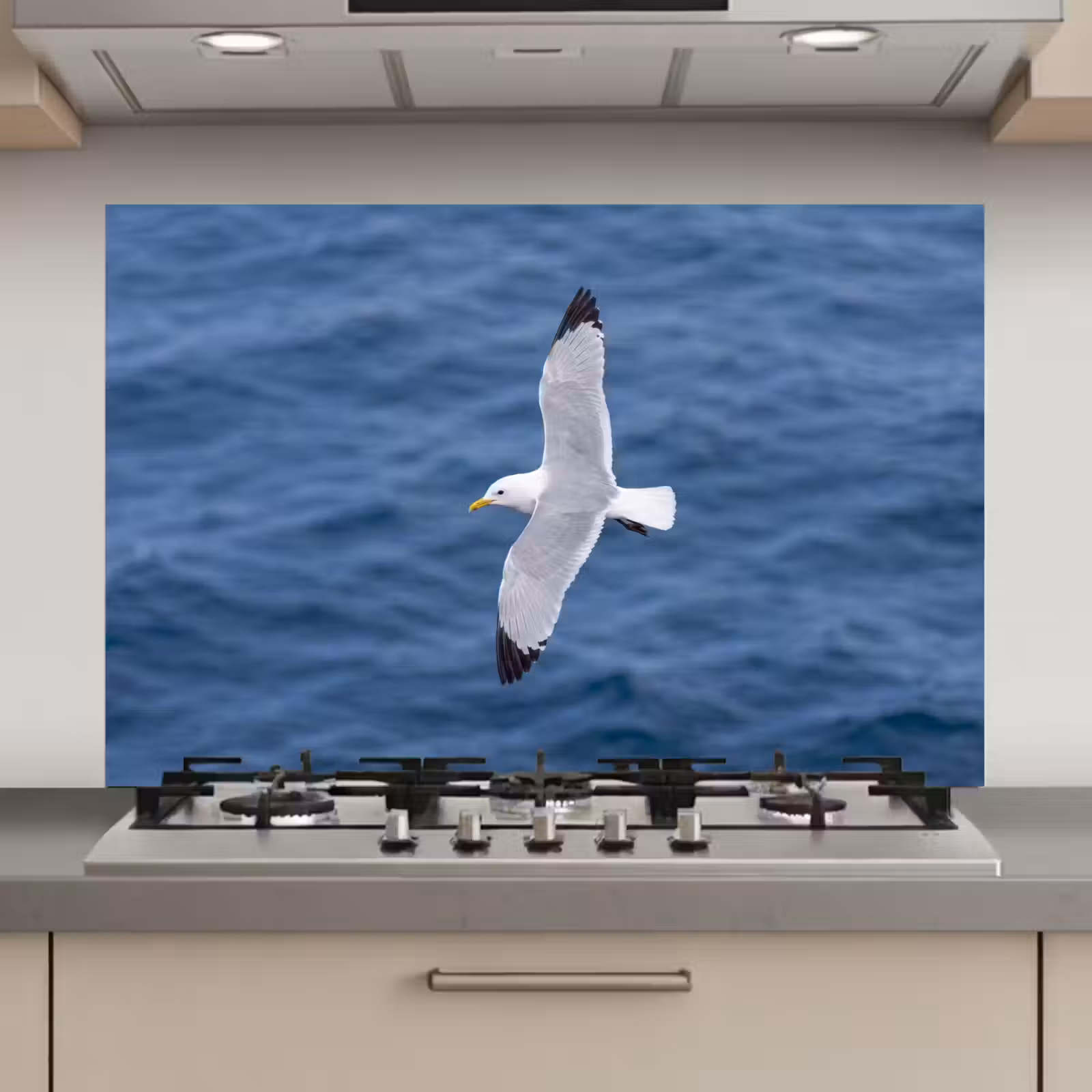 Spatscherm keuken - Zeemeeuw - Oceaan - Blauw — 1