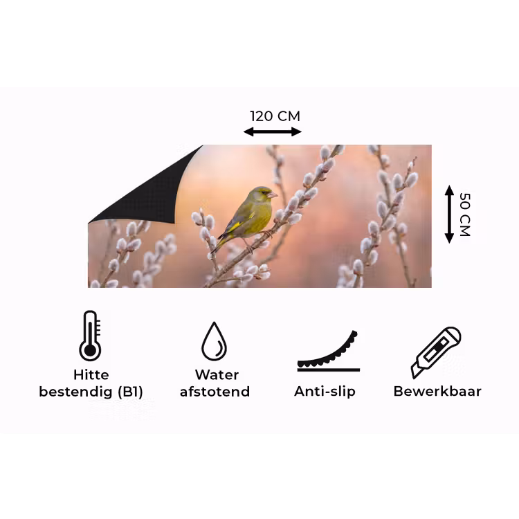 Keukenloper - Groenling - Katjes - Lente - Natuur - Zacht — 5