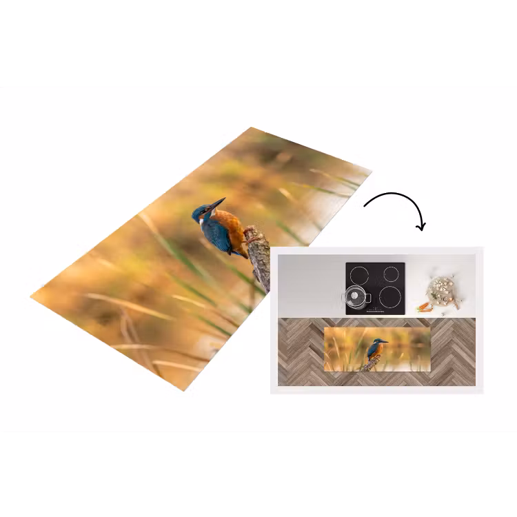 Keukenloper - IJsvogel - Tak - Water - Kleurrijk - Levendig — 1
