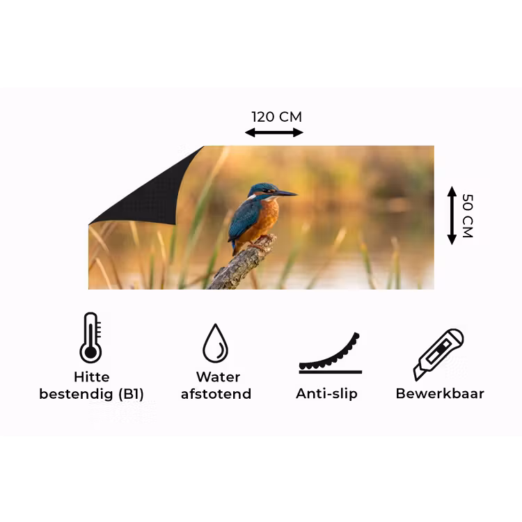Keukenloper - IJsvogel - Tak - Water - Kleurrijk - Levendig — 5