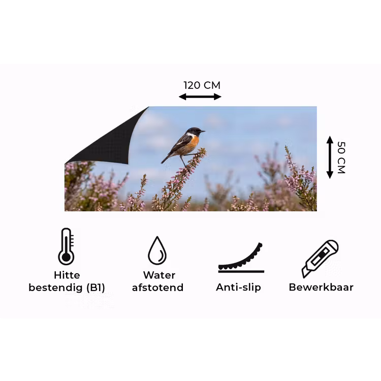 Keukenloper - Roodborsttapuit - Heide - Paars - Natuur - Sfeervol — 5