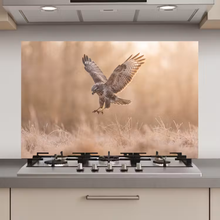 Spatscherm keuken - Buizerd - Roofvogel - Natuur - Bruin — 1
