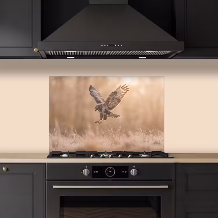 Spatscherm keuken - Buizerd - Roofvogel - Natuur - Bruin — 2