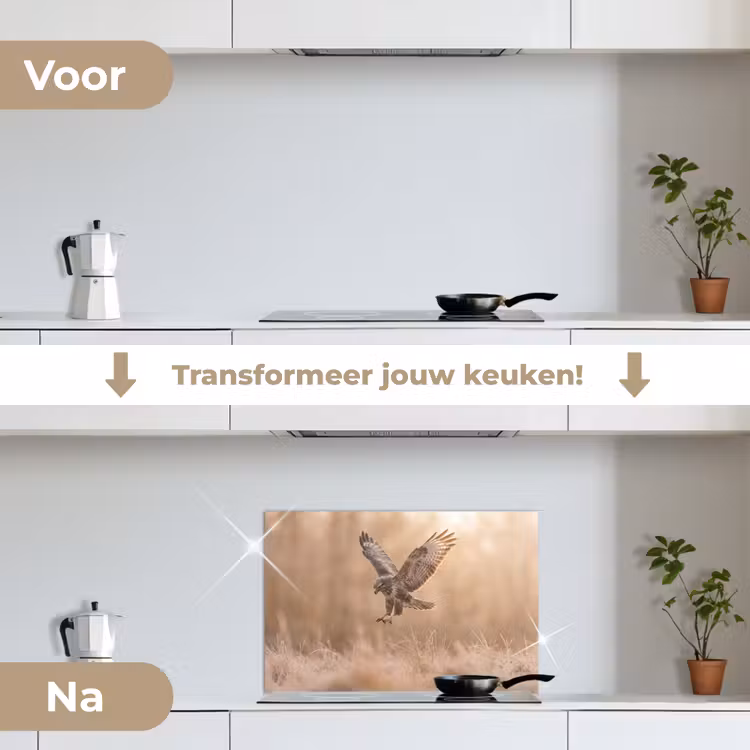 Spatscherm keuken - Buizerd - Roofvogel - Natuur - Bruin — 3