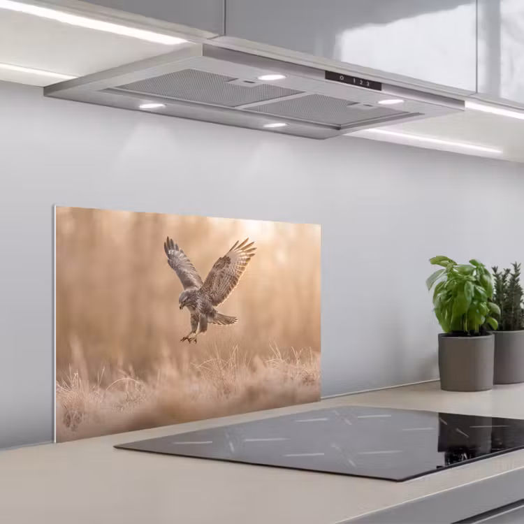 Spatscherm keuken - Buizerd - Roofvogel - Natuur - Bruin — 5