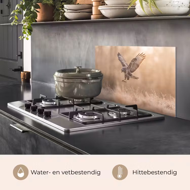 Spatscherm keuken - Buizerd - Roofvogel - Natuur - Bruin — 7