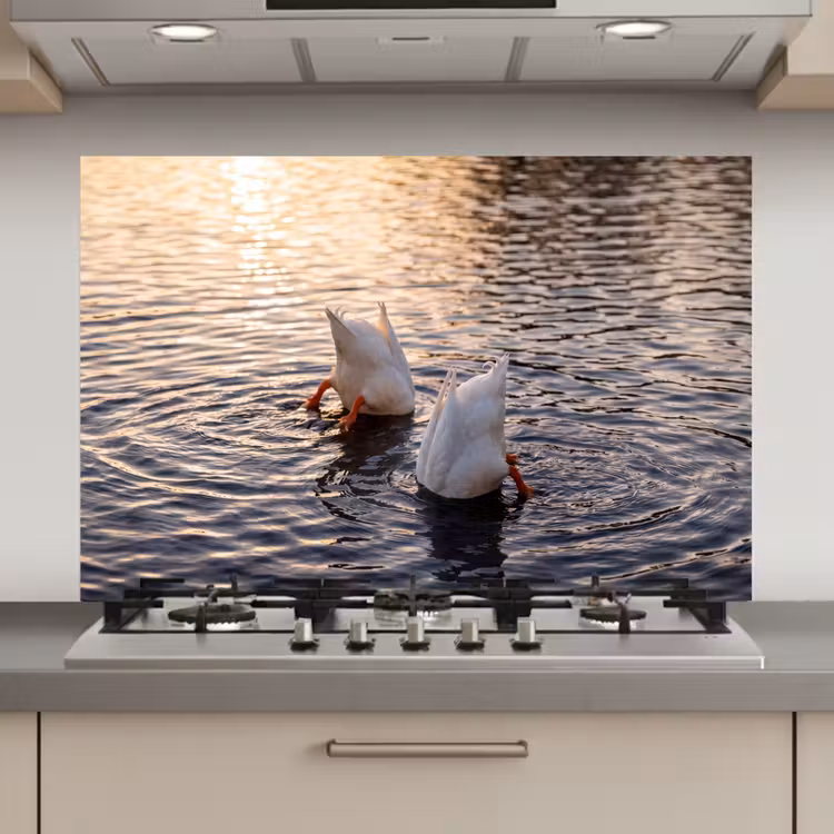 Spatscherm keuken - Eenden - Water - Natuur — 1