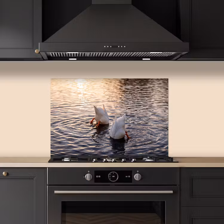 Spatscherm keuken - Eenden - Water - Natuur — 2