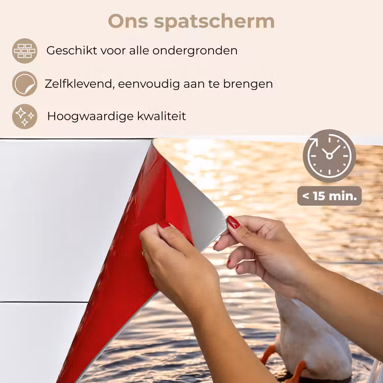 Spatscherm keuken - Eenden - Water - Natuur — 4