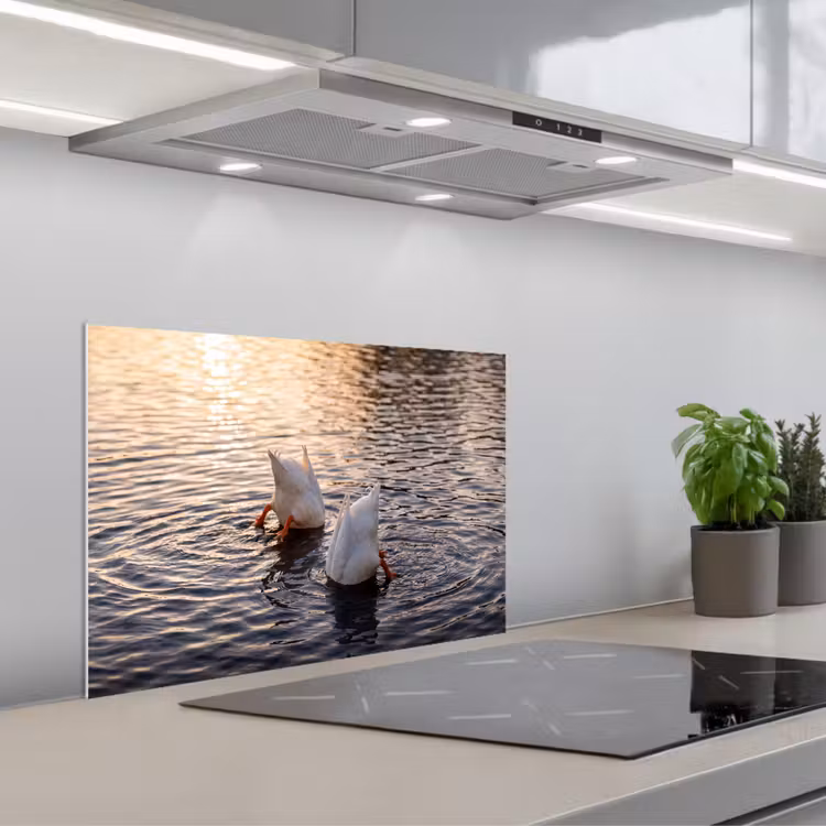 Spatscherm keuken - Eenden - Water - Natuur — 5