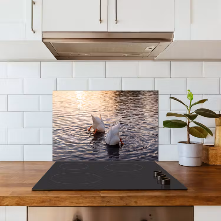 Spatscherm keuken - Eenden - Water - Natuur — 6