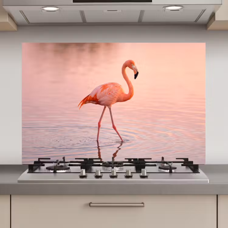Spatscherm keuken - Flamingo - Water - Roze — 1