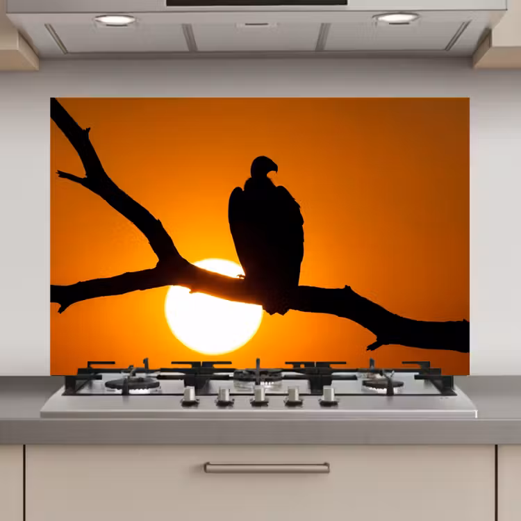 Spatscherm keuken - Gier - Tak - Zon - Oranje — 1