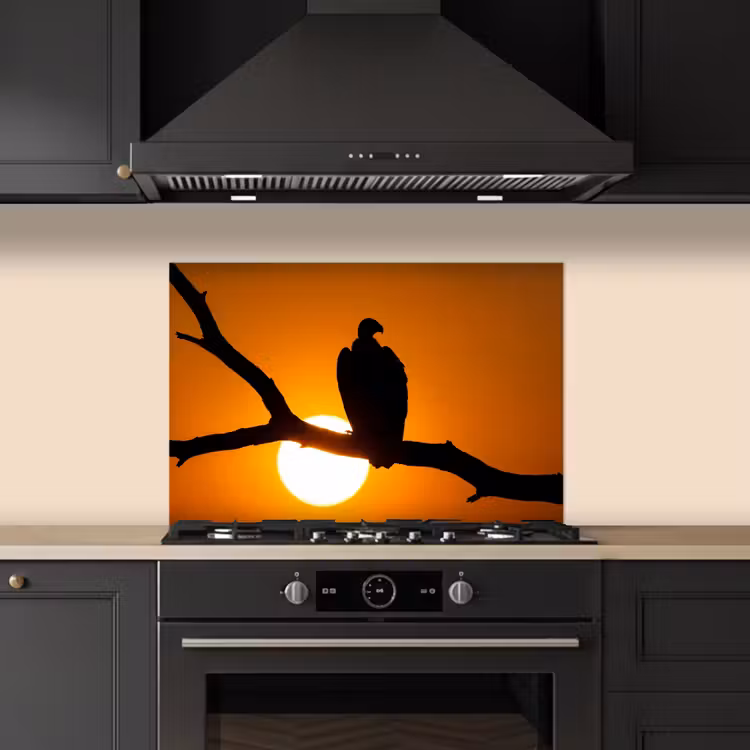 Spatscherm keuken - Gier - Tak - Zon - Oranje — 2