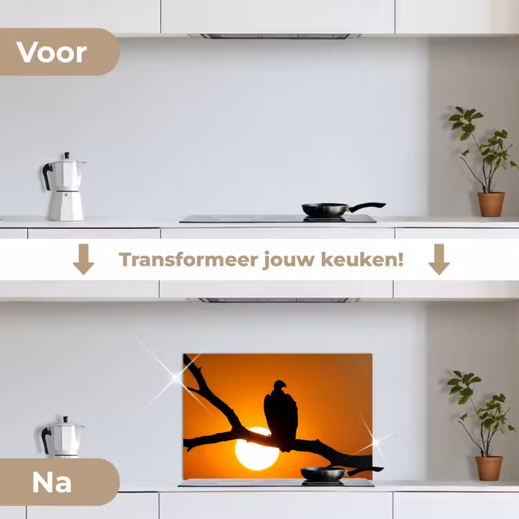 Spatscherm keuken - Gier - Tak - Zon - Oranje — 3