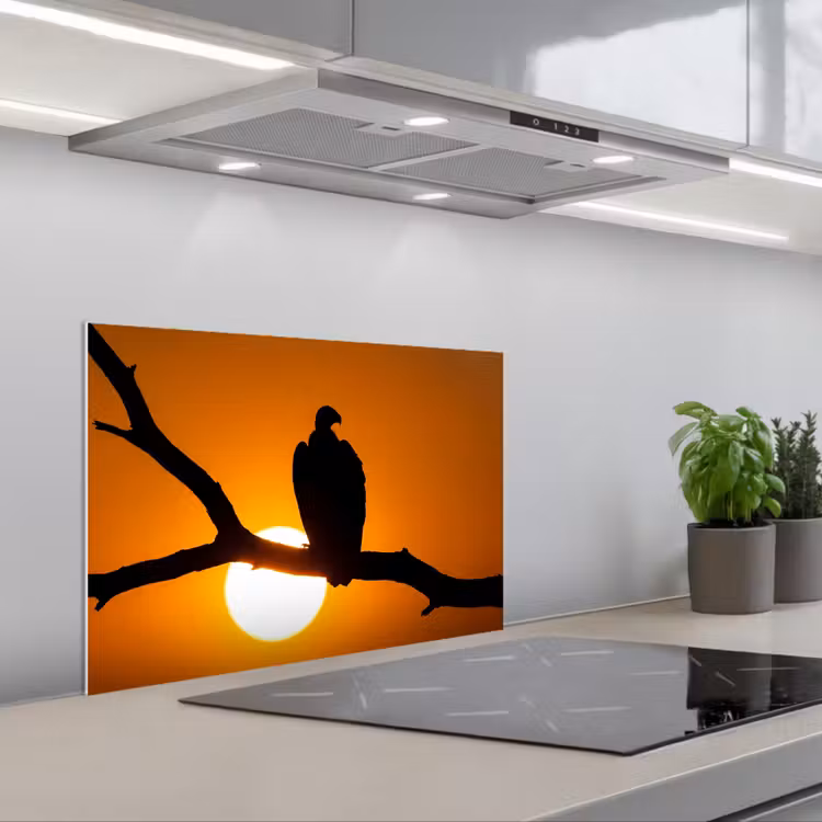 Spatscherm keuken - Gier - Tak - Zon - Oranje — 5
