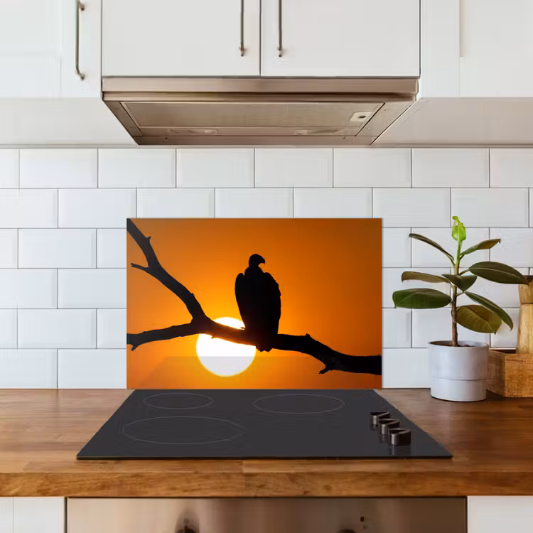Spatscherm keuken - Gier - Tak - Zon - Oranje — 6