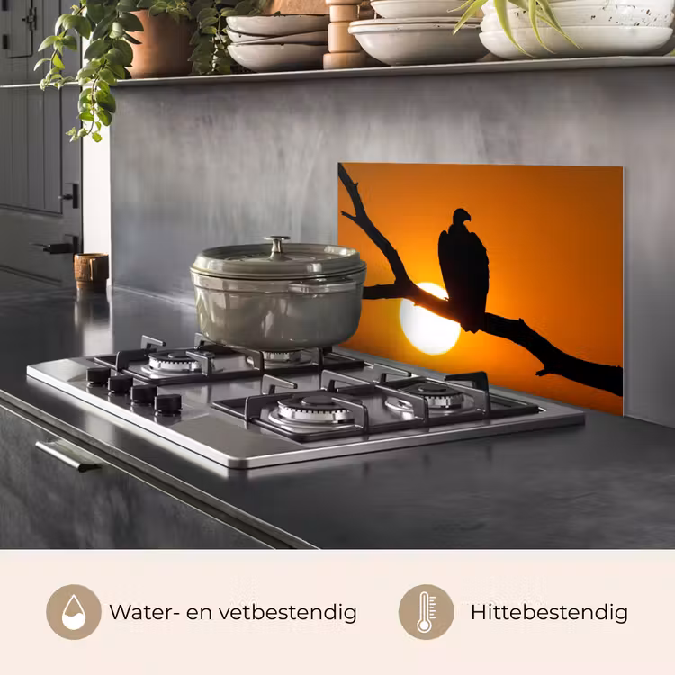 Spatscherm keuken - Gier - Tak - Zon - Oranje — 7