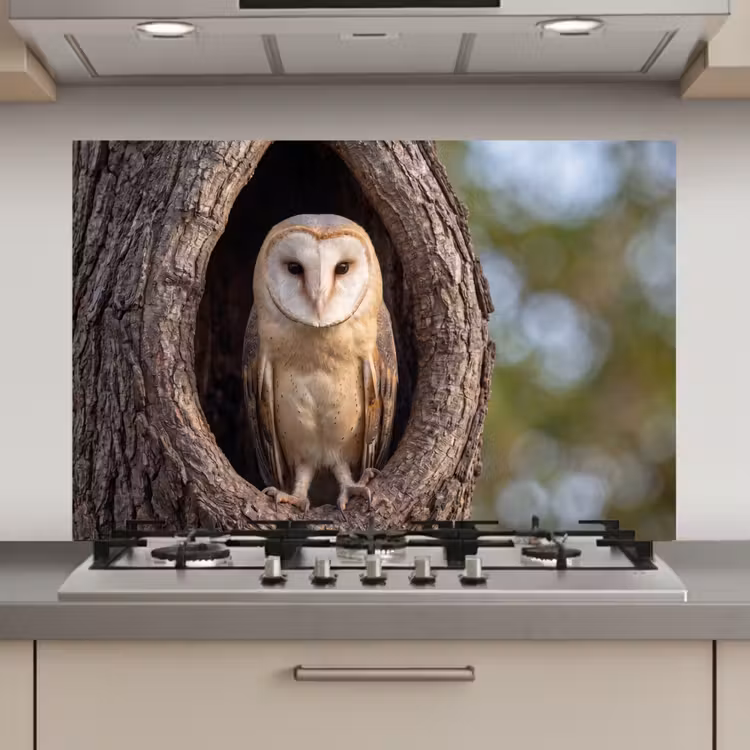 Spatscherm keuken - Kerkuil - Boom - Natuur - Bruin — 1