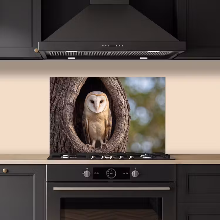 Spatscherm keuken - Kerkuil - Boom - Natuur - Bruin — 2