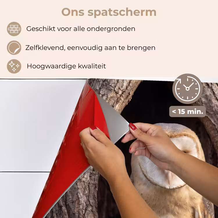 Spatscherm keuken - Kerkuil - Boom - Natuur - Bruin — 4