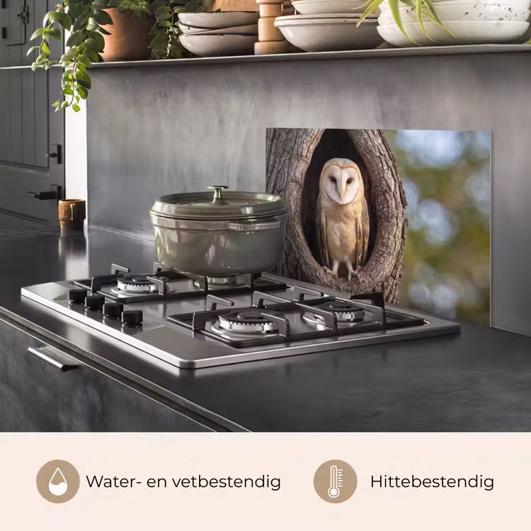 Spatscherm keuken - Kerkuil - Boom - Natuur - Bruin — 7