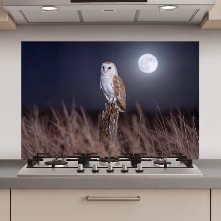 Spatscherm keuken - Kerkuil - Maan - Nacht — 1