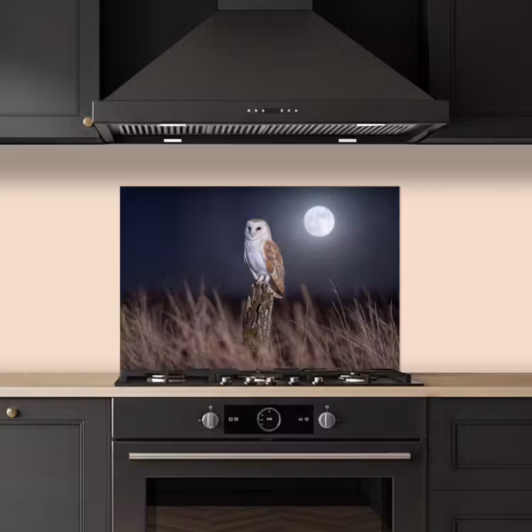 Spatscherm keuken - Kerkuil - Maan - Nacht — 2