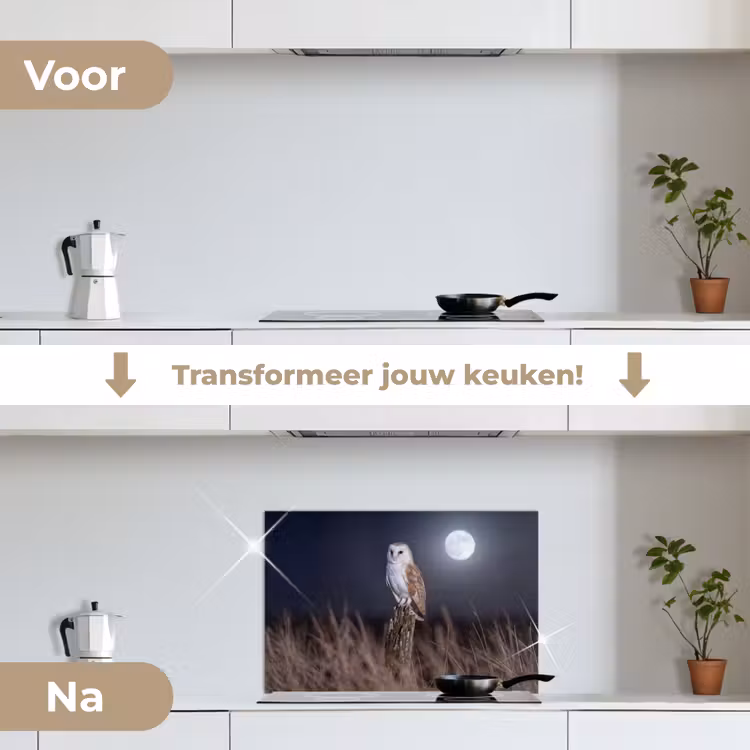 Spatscherm keuken - Kerkuil - Maan - Nacht — 3