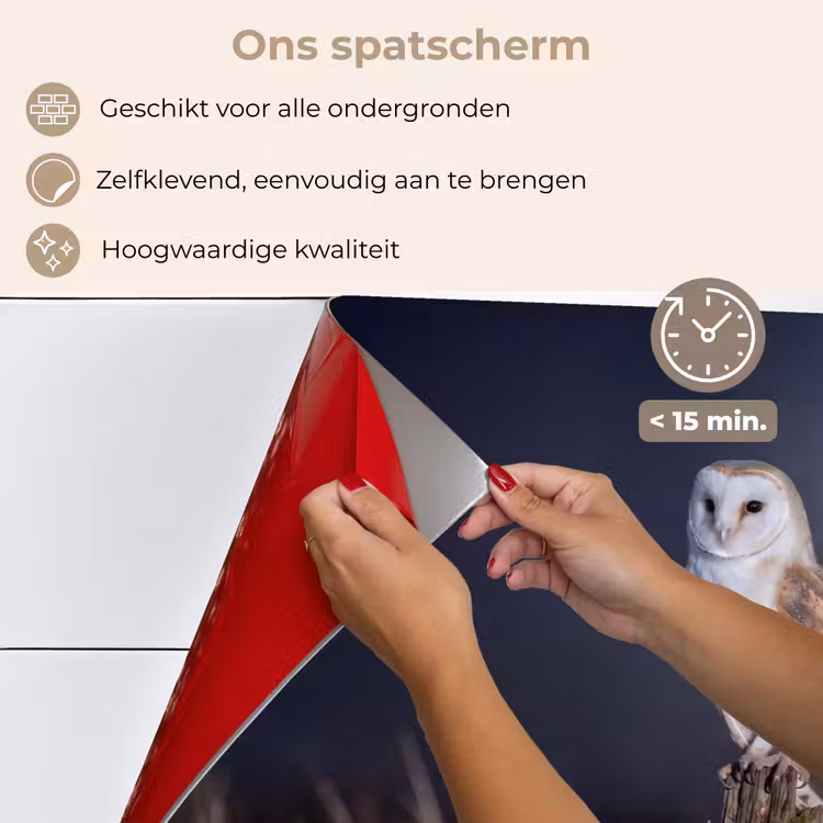 Spatscherm keuken - Kerkuil - Maan - Nacht — 4