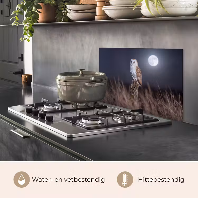 Spatscherm keuken - Kerkuil - Maan - Nacht — 7