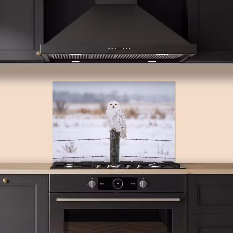 Spatscherm keuken - Sneeuwuil - Hek - Sneeuw - Wit — 2