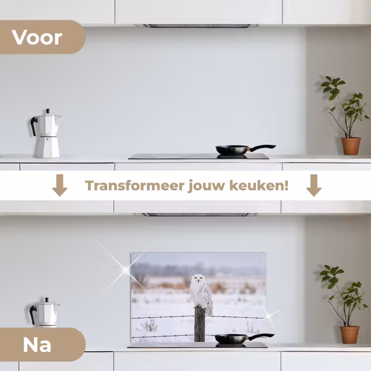 Spatscherm keuken - Sneeuwuil - Hek - Sneeuw - Wit — 3