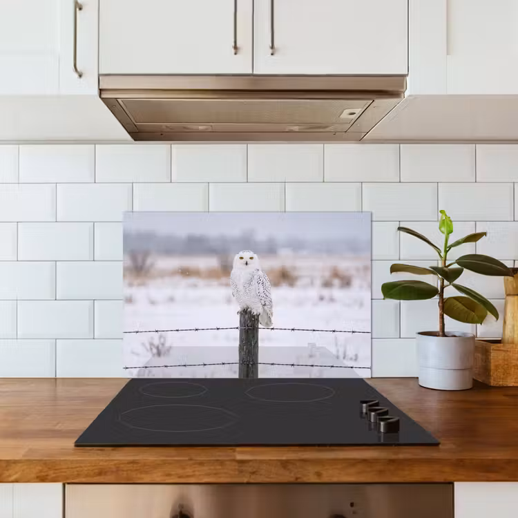 Spatscherm keuken - Sneeuwuil - Hek - Sneeuw - Wit — 6