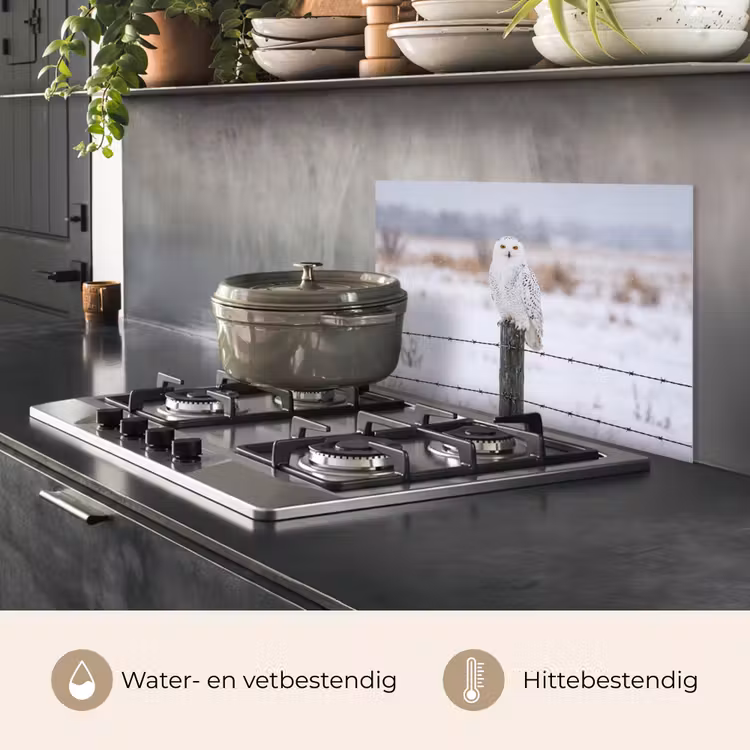 Spatscherm keuken - Sneeuwuil - Hek - Sneeuw - Wit — 7