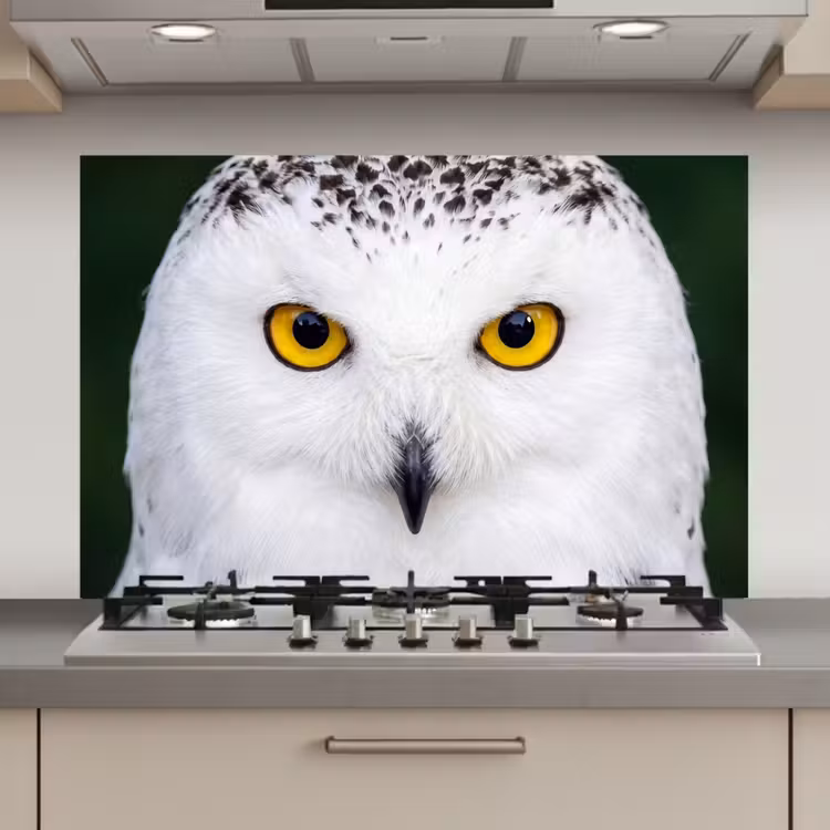Spatscherm keuken - Sneeuwuil - Portret - Geel — 1