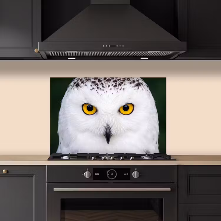 Spatscherm keuken - Sneeuwuil - Portret - Geel — 2