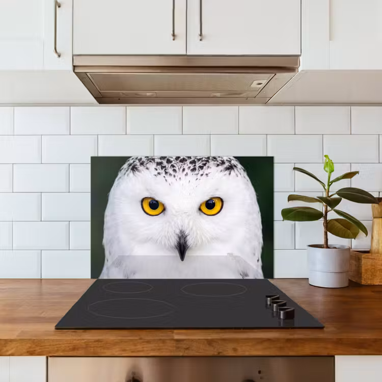 Spatscherm keuken - Sneeuwuil - Portret - Geel — 6