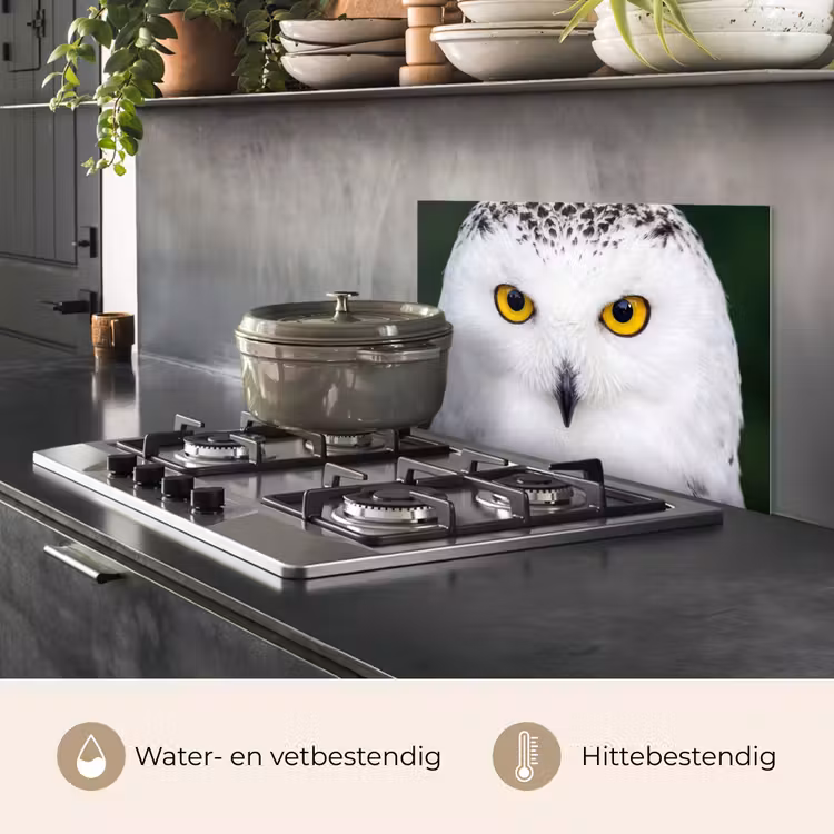 Spatscherm keuken - Sneeuwuil - Portret - Geel — 7