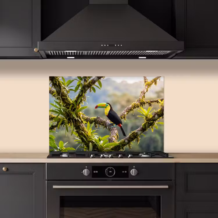 Spatscherm keuken - Toekan - Jungle - Natuur - Kleurrijk — 2