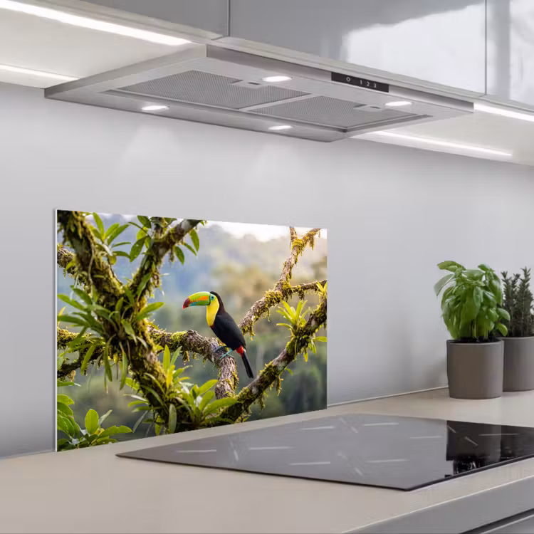 Spatscherm keuken - Toekan - Jungle - Natuur - Kleurrijk — 5