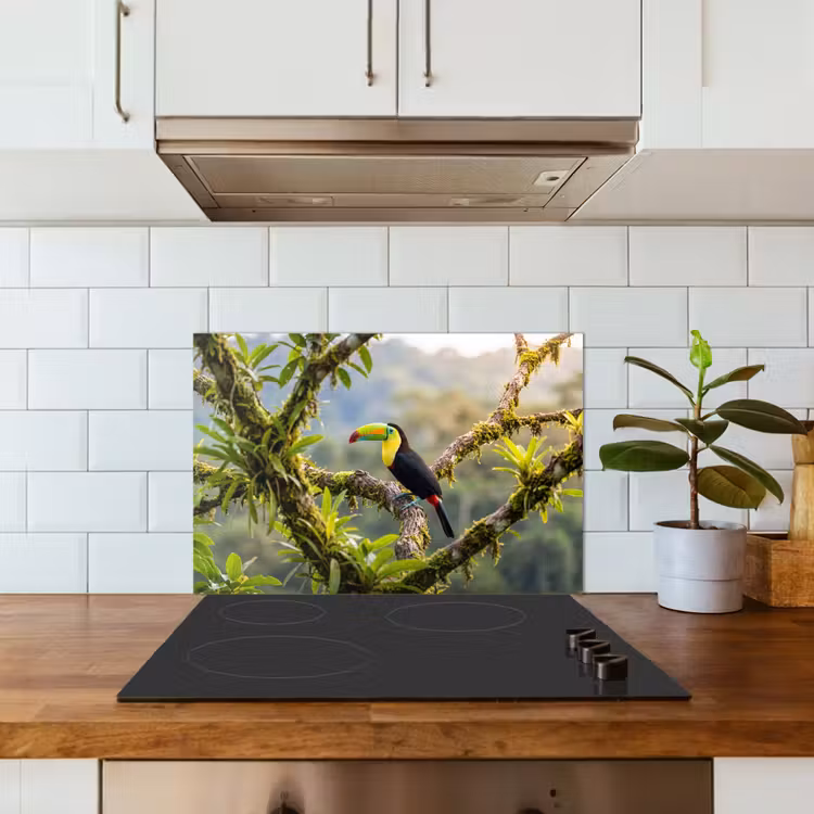 Spatscherm keuken - Toekan - Jungle - Natuur - Kleurrijk — 6