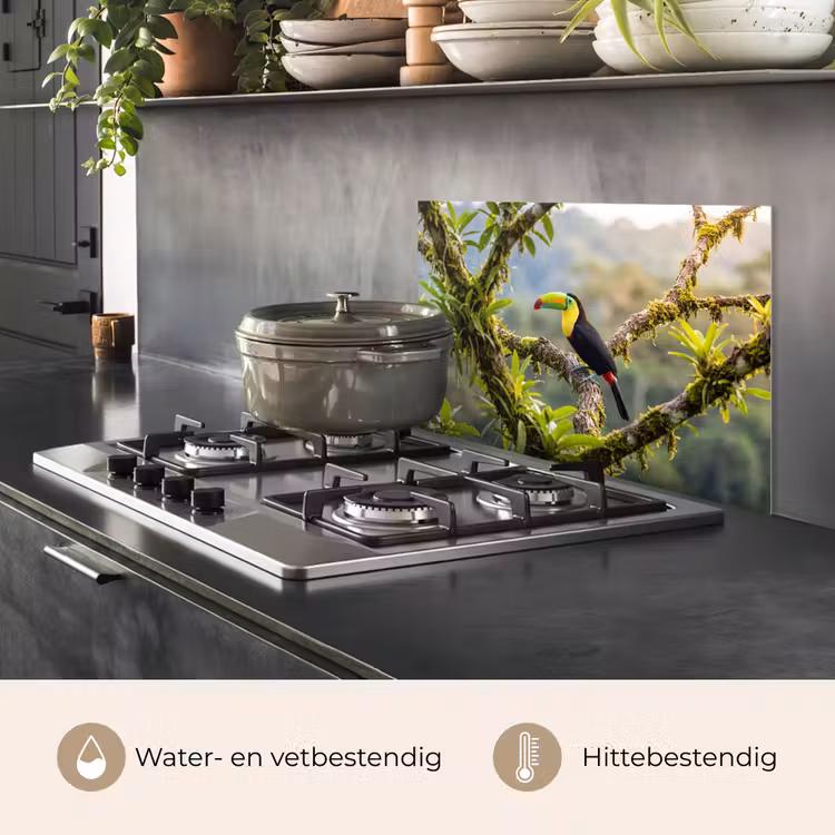 Spatscherm keuken - Toekan - Jungle - Natuur - Kleurrijk — 7